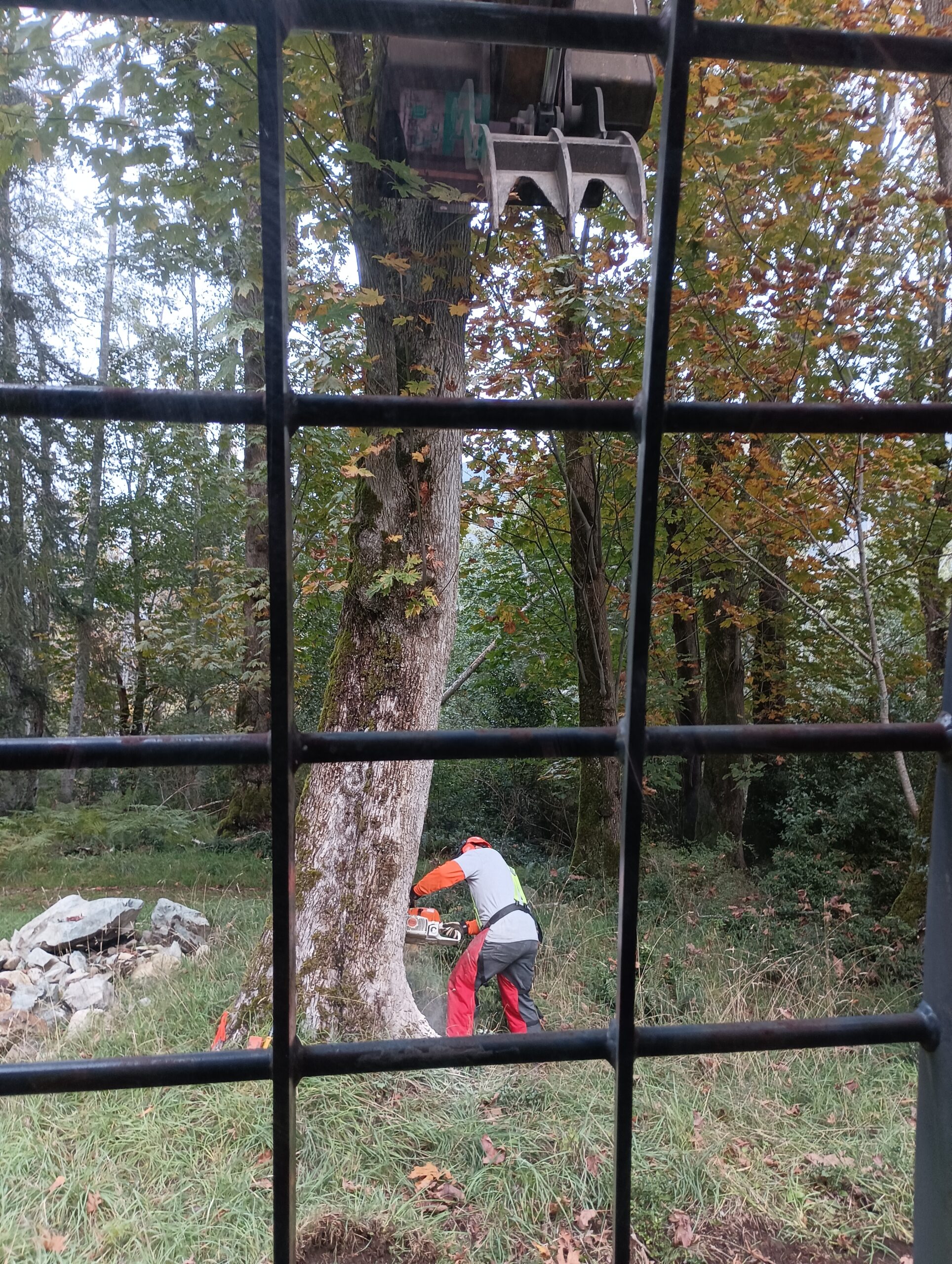 Site clearing Fraser Valley