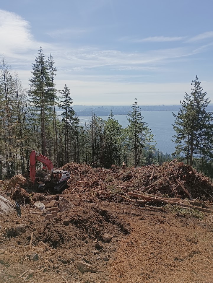 Excavator land clearing BC