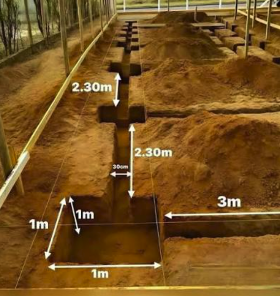 Basement excavation BC